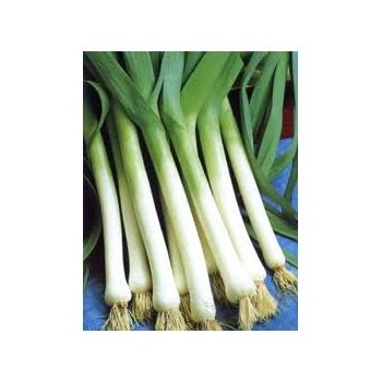 Légumes pour collectivités (1/2 gros)