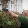 Entretien de jardin de particuliers
