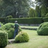 Entretien de jardin de particuliers