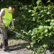 Entretien de jardin de particuliers