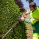 Entretien de jardin de particuliers