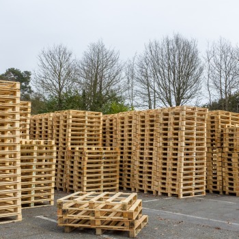 Palettes en bois 