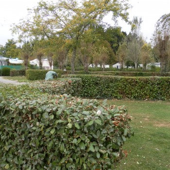 Entretien d'espaces verts