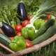 Le panier de légumes bio