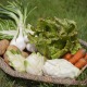 Le panier de légumes bio