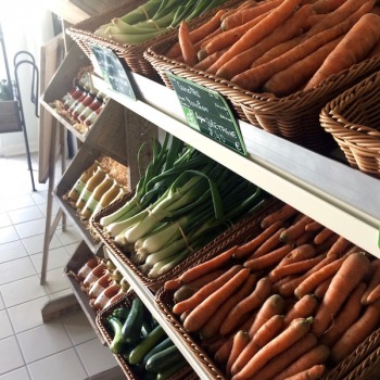 Légumes bio de saison
