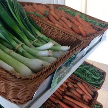 Légumes bio Caudan