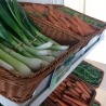 Légumes bio Caudan