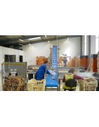 Le recyclage de pain